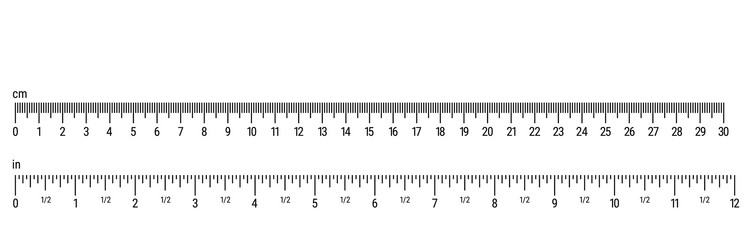 Size indicators with different unit scales flat vector