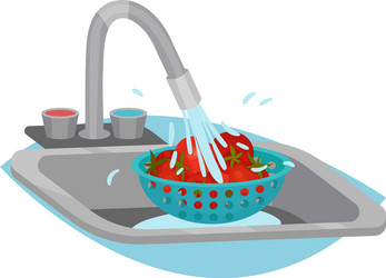 Lettuce cleaning and washing with tap water Vector Image