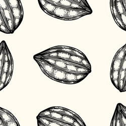 seamless pattern of cocoa beans vector image