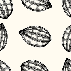 Seamless pattern of cocoa beans vector