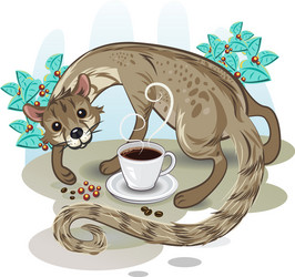 civet coffee kopi luwak vector