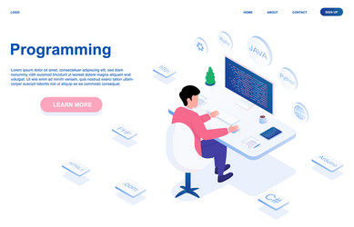 Male Programmer Working on Computer vector image