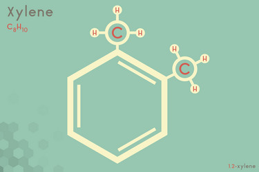 infographic molecule xylene vector