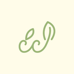 Letter cc line art leaf plant feminine botanical Vector Image