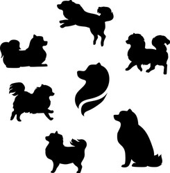 Spitz Dog Silhouettes Vector Image