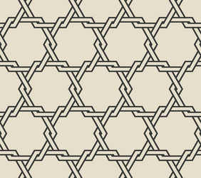 Intertwined Hexagon Pattern vector image