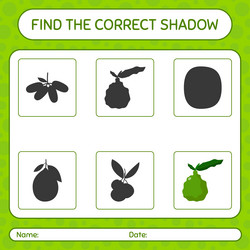 find the correct shadows game with kaffir lime vector image