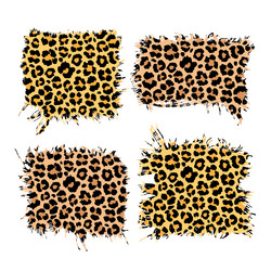 Torn Leopard Print Fabric Patches vector image