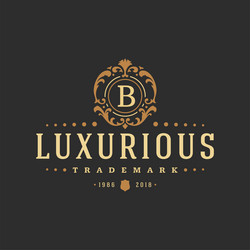 luxury logo template object for logotype Vector Image