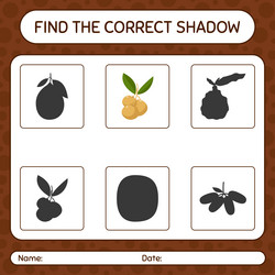 find the correct shadows game with longan vector image