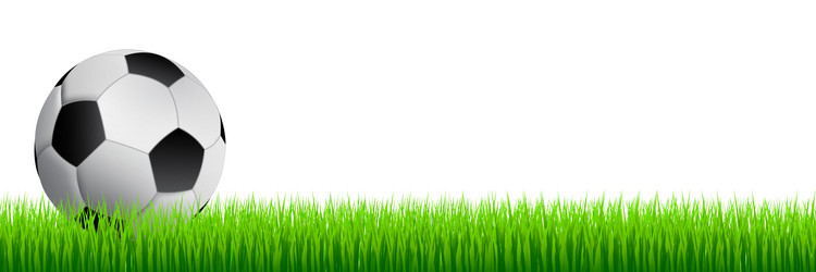 realistic soccer ball on a green lawn vector