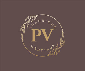 pv initials letter wedding monogram logos vector