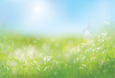 Spring flowers background Royalty Free Vector Image