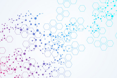 science network pattern connecting lines and dots vector image