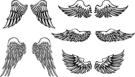 Artistic Wing Set Vector Image