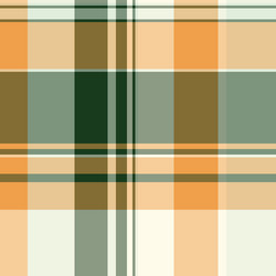 checking seamless texture fabric age pattern vector image