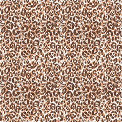 Leopard Print Seamless Pattern vector image