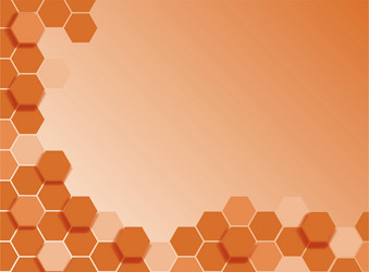 background template with abstract patterns vector image