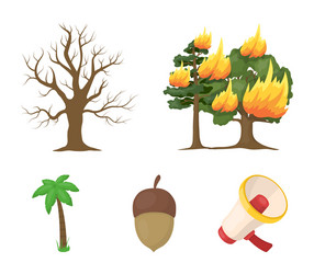 Burning tree palm acorn dry treeforest set vector