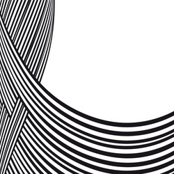 abstract background black and white curve lines vector image