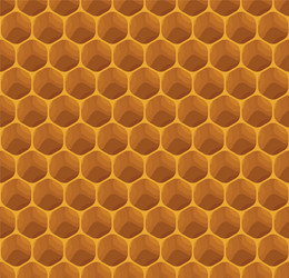 completely seamless honeycomb texture pattern vector image