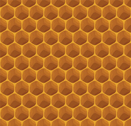 Completely seamless honeycomb texture pattern vector