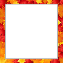 square photo frame with fallen autumn maple vector