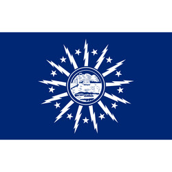 buffalo flag Vector Image