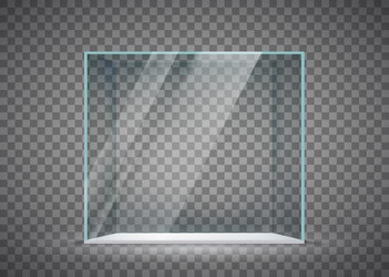 Empty Glass Cube Display vector image