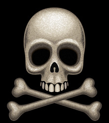 Skull and crossbones vector