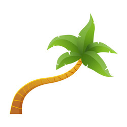 coconut palm tree with curve of trunk and leaves vector image