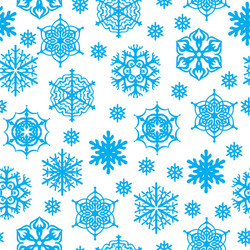 Elegant Snowflake Pattern vector image