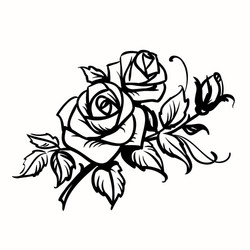 Black Rose Outline Drawing Vector Image