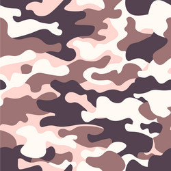 Modern Camo Pattern vector image