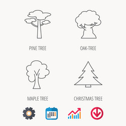 pine tree maple and oak-tree icons vector image