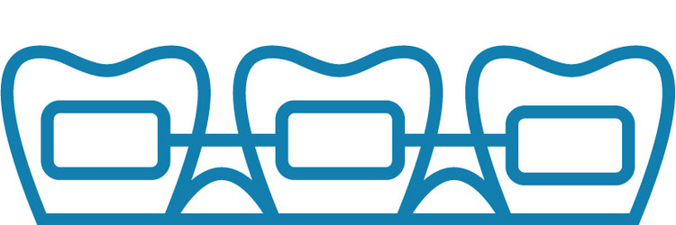 brackets linear icon concept line vector image