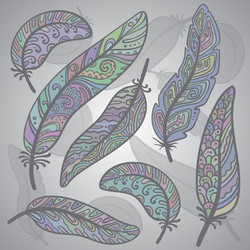 Colored feathers set Royalty Free Vector Image