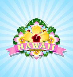 hawaiian document background in polynesian style vector image