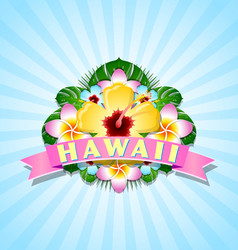 Hawaiian document background in polynesian style vector