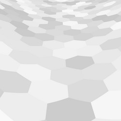 Gray Hexagonal Grid Texture vector image