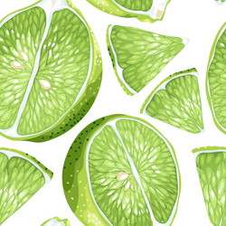 lime slices in seamless realistic pattern vector image