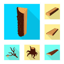 Isolated object of material and nature icon set vector