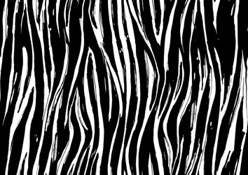 Zebra Print Seamless Pattern vector image