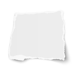 square torn paper tear with soft shadow isolated vector image