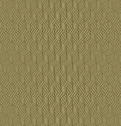 Geometric Cube Pattern vector image