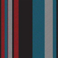 Vertical Stripe Pattern - Abstract Lines vector image
