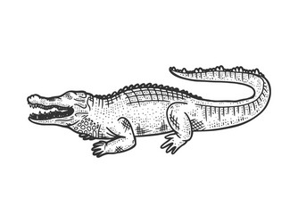 Crocodile Black and White Cartoon Vector Images (over 610) Crocodile Black and White Cartoon Vector Images (over 610)