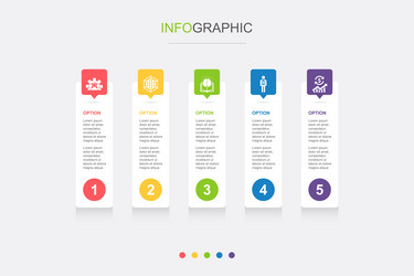 development global solution knowledge investor vector image