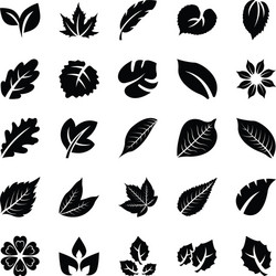 Set of black leaf icons Royalty Free Vector Image