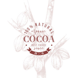 type emblem over hand drawn cocoa tree vector image